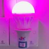 粉红色LED灯节能灯氛围调情灯泡E27螺口紫色粉紫灯粉色情调光源色
