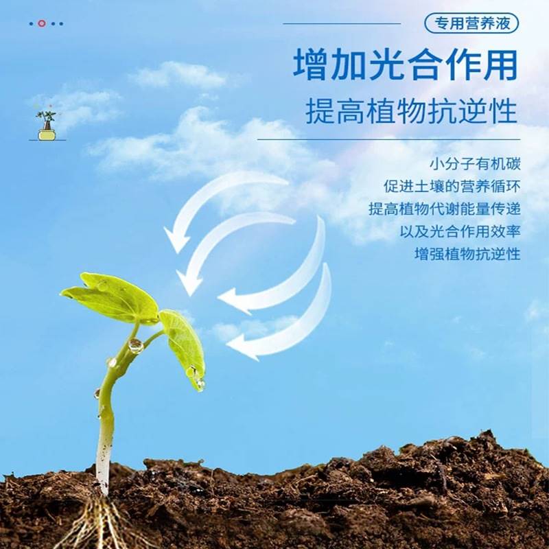 八个老头幸福树肥料营养液绿植物家用发财树氮磷钾客厅盆栽液体肥