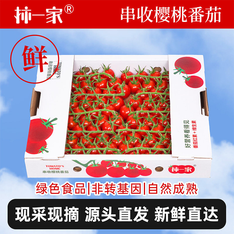 柿一家串收小番茄1kg顺丰即食新鲜水果番茄圣女果西红柿中秋礼盒