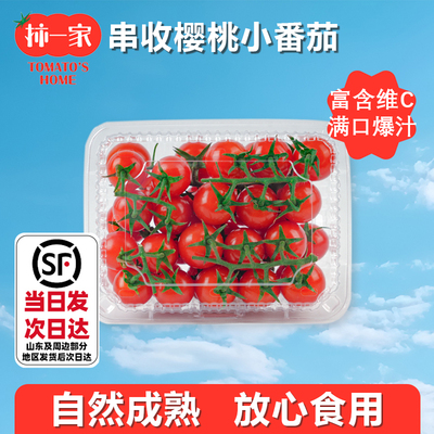柿一家串收樱桃番茄健康