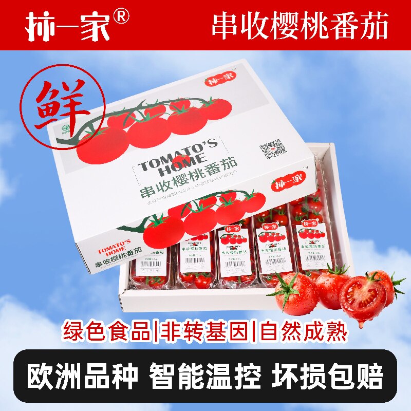 柿一家串收樱桃番茄198g*10礼盒装新鲜水果千禧圣女果小西红柿