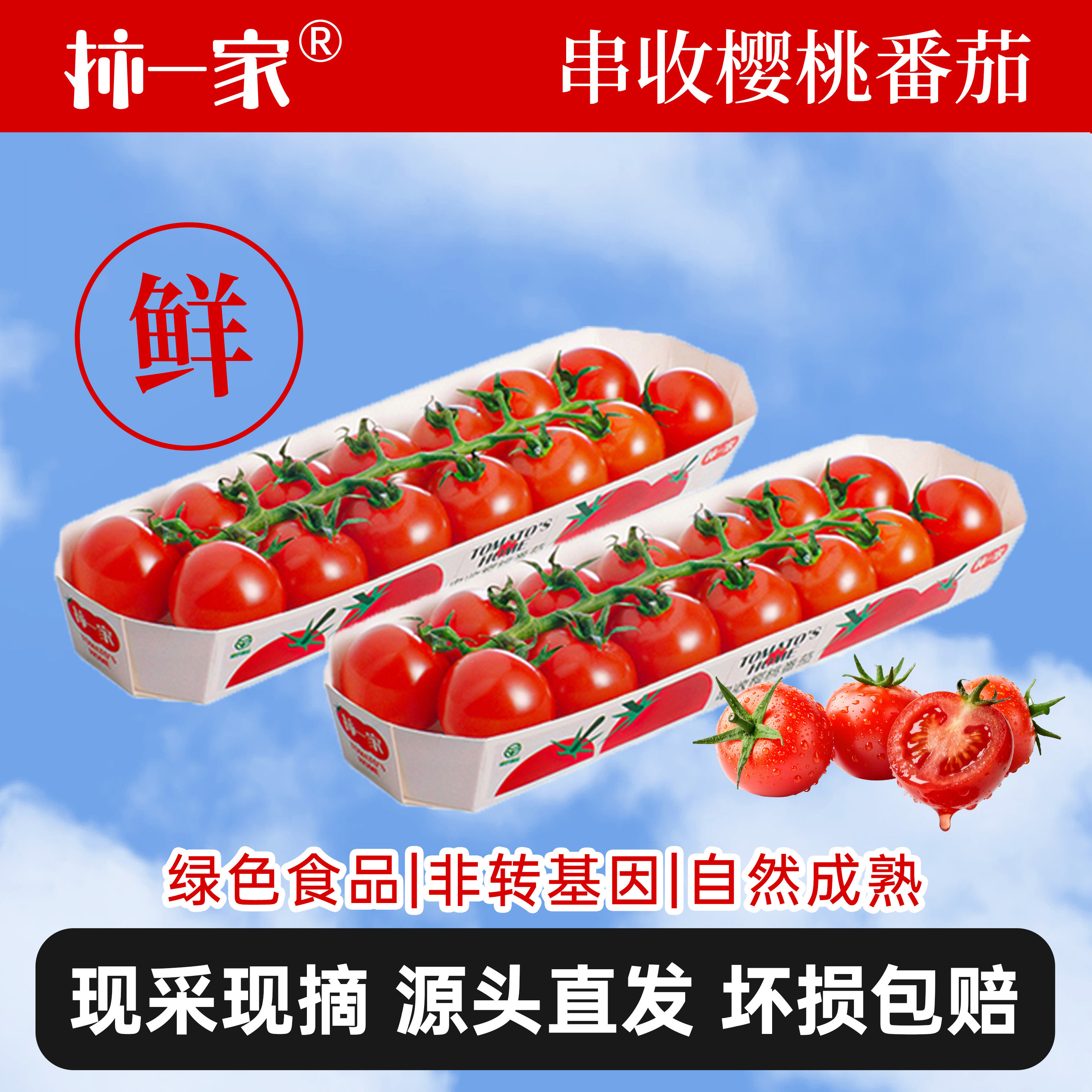 柿一家串收樱桃番茄千禧圣女果新鲜水果小西红柿自然熟孕妇生吃