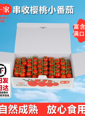 柿一家串收樱桃番茄1kg新鲜水果千禧圣女果西红柿零食夏季解暑