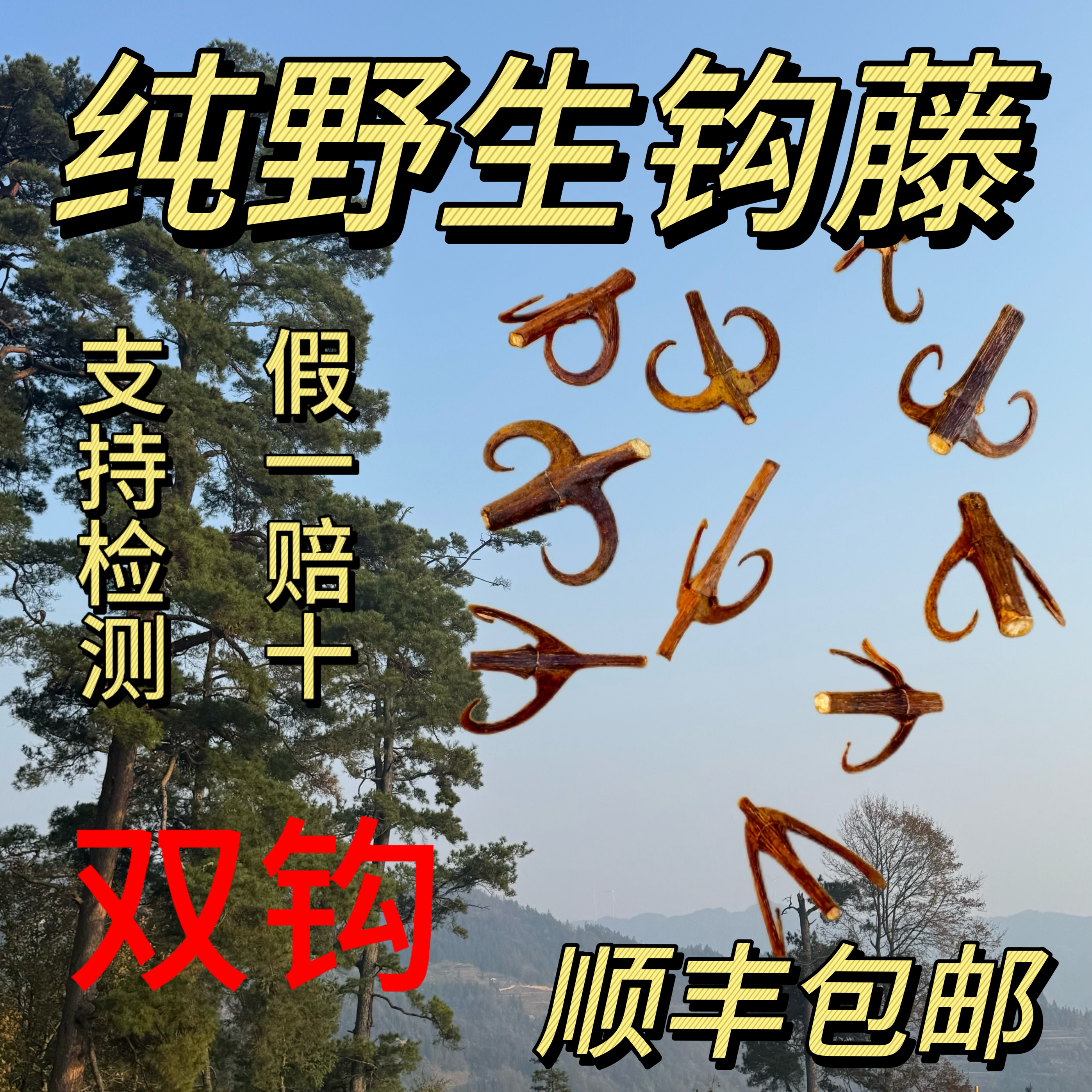 正宗野生钩藤中药材正品双钩藤茶勾藤片 鹰爪风 倒挂刺 钩丁吊藤