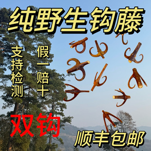 正宗野生钩藤中药材正品双钩藤茶勾藤片 鹰爪风 倒挂刺 钩丁吊藤