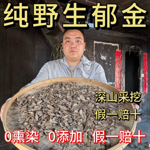 纯野生郁金深山采挖自然晾晒郁金野生无熏硫无添加