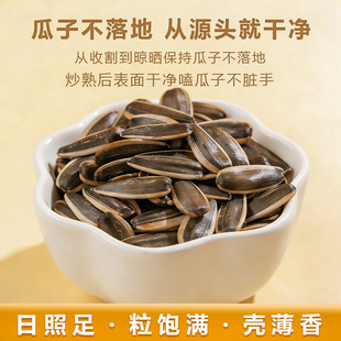 正北田高品质内蒙古薄皮363原味瓜子向日葵瓜籽年货零食坚果大颗