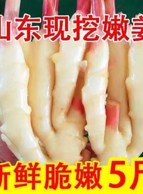 山东新鲜嫩仔姜子姜脆嫩红芽嫩姜嫩生姜糖醋泡姜农家自种蔬菜现挖