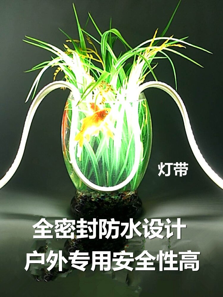 led软灯带阳台灯工地灯珠贴片220v白光镇流器酒吧彩色led灯过道灯