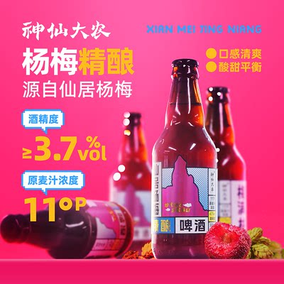 11°P仙居杨梅啤酒全麦精酿