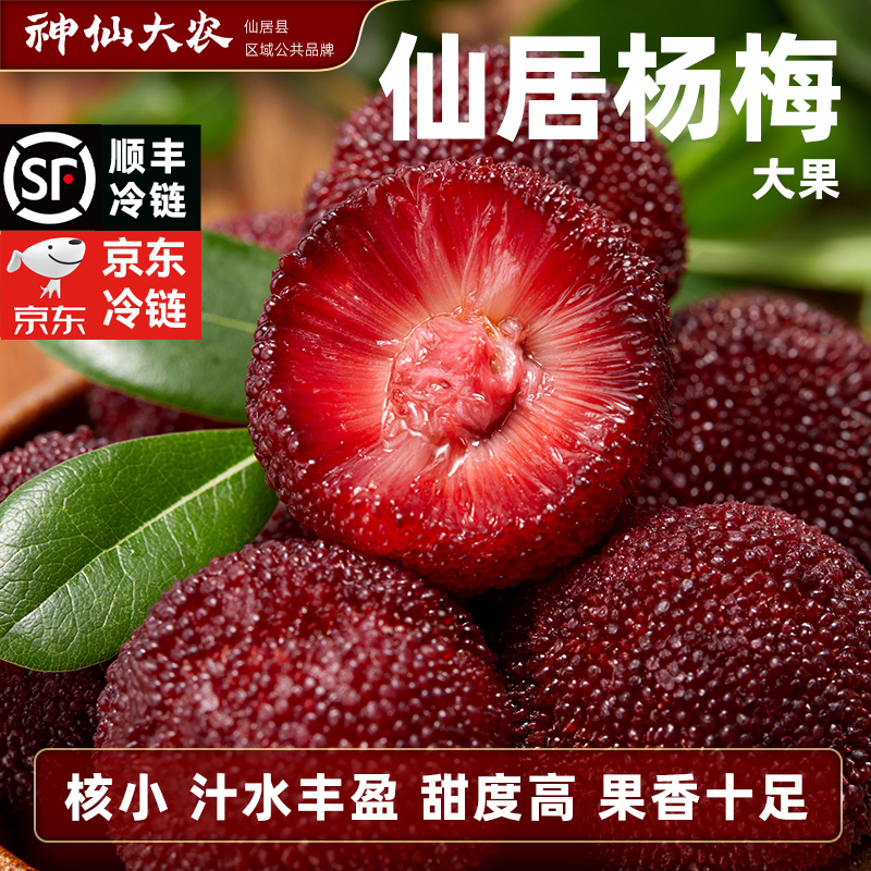 浙江仙居东魁杨梅鲜台州水果礼盒装当季杨梅整箱大棚大杨梅鲜果