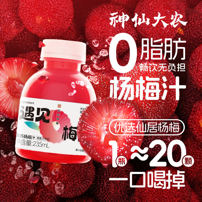 神仙大农仙居紫苏杨梅果汁鲜榨四季解渴腻饮料整箱235ml*6瓶40%