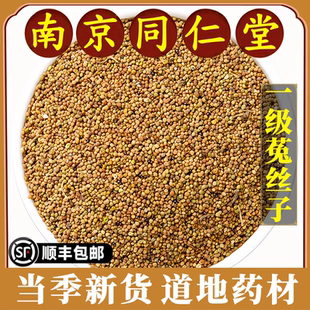南京同仁堂正品菟丝子中药材免洗吐丝子菟丝实煮水泡水泡酒原材料