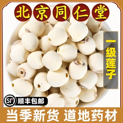 北京同仁堂正品莲子中药材原材料