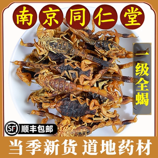 南京同仁堂全蝎中药材蝎子干全虫全干货可磨全蝎粉药用食用泡酒料