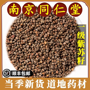 南京同仁堂正品紫苏籽中药材炒熟紫苏籽可磨紫苏籽粉紫苏籽粒药用
