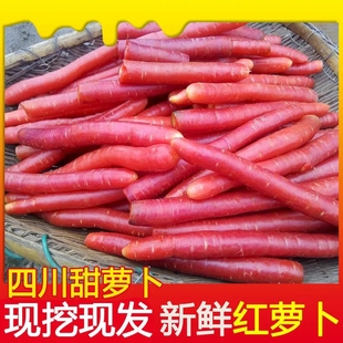 四川新鲜红萝卜生吃沙地水果红胡萝卜红心甜萝卜农家自种辅食蔬菜
