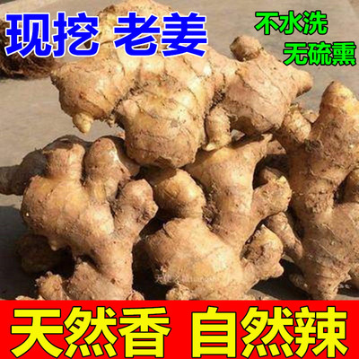 正宗老姜生姜老姜黄姜现挖老黄姜
