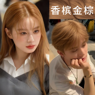 香槟金棕色染发剂植物刺无激纯正品2026潮款流行色新款在家染发膏
