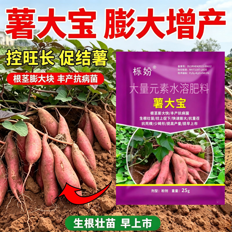 红薯膨大增产剂地瓜甘薯烟薯高产增甜防裂专用地下根茎红薯膨大素