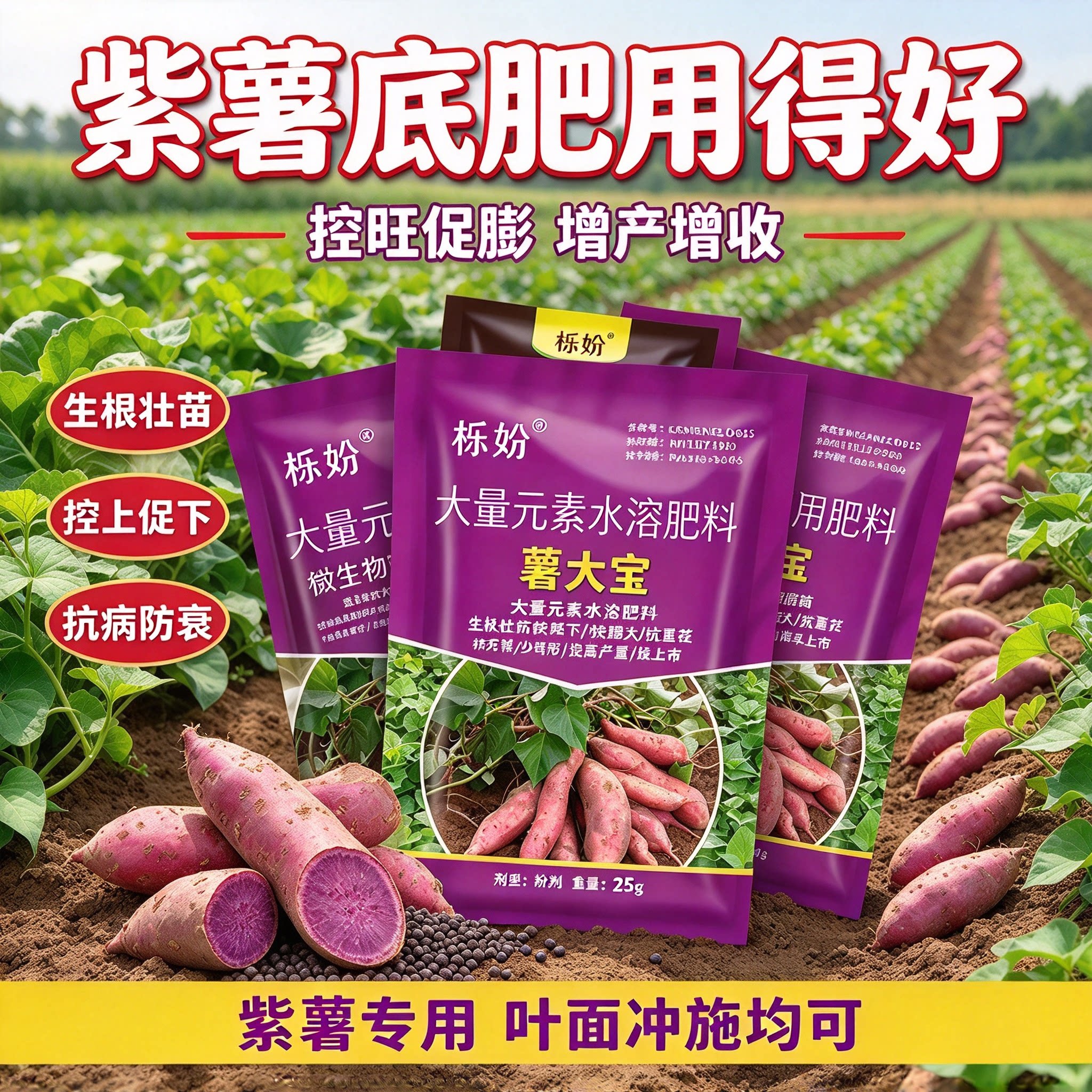 紫薯专用肥控旺膨大素地瓜紫薯增甜增产防裂补钙补镁专用叶面肥