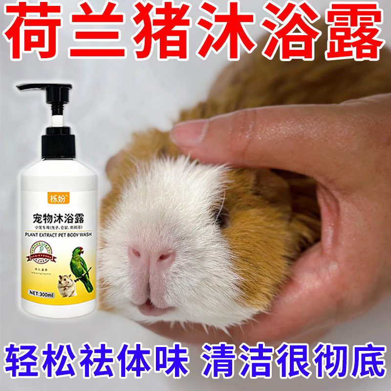 荷兰猪沐浴露除臭专用豚鼠荷兰猪沐浴露抗菌除臭除螨豚鼠洗澡用品