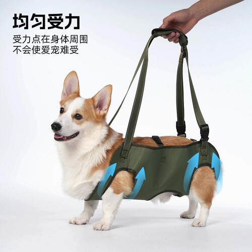 亚逊款宠物残辅新助带老年犬疾Z5018犬康复出行胸背可调节牵马引