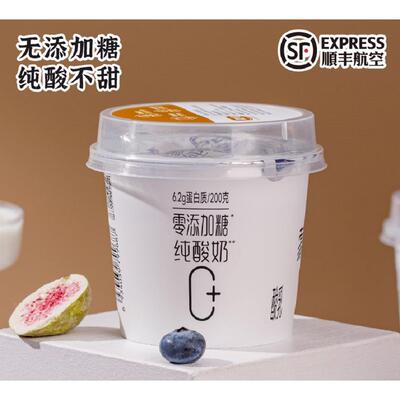 蒙古纯酪酸乳无蔗糖纯酸奶杯装 内蒙古老酸奶 0添加蔗糖酸奶