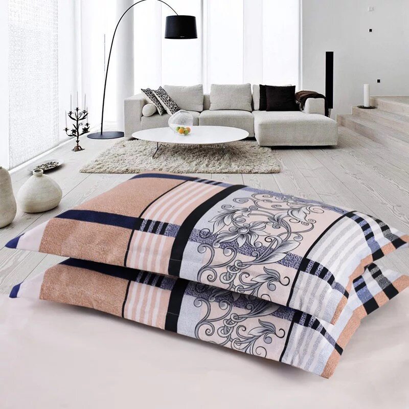 枕套一对成e人情侣大号48*74枕头套单人加厚可爱学生枕芯套四季通