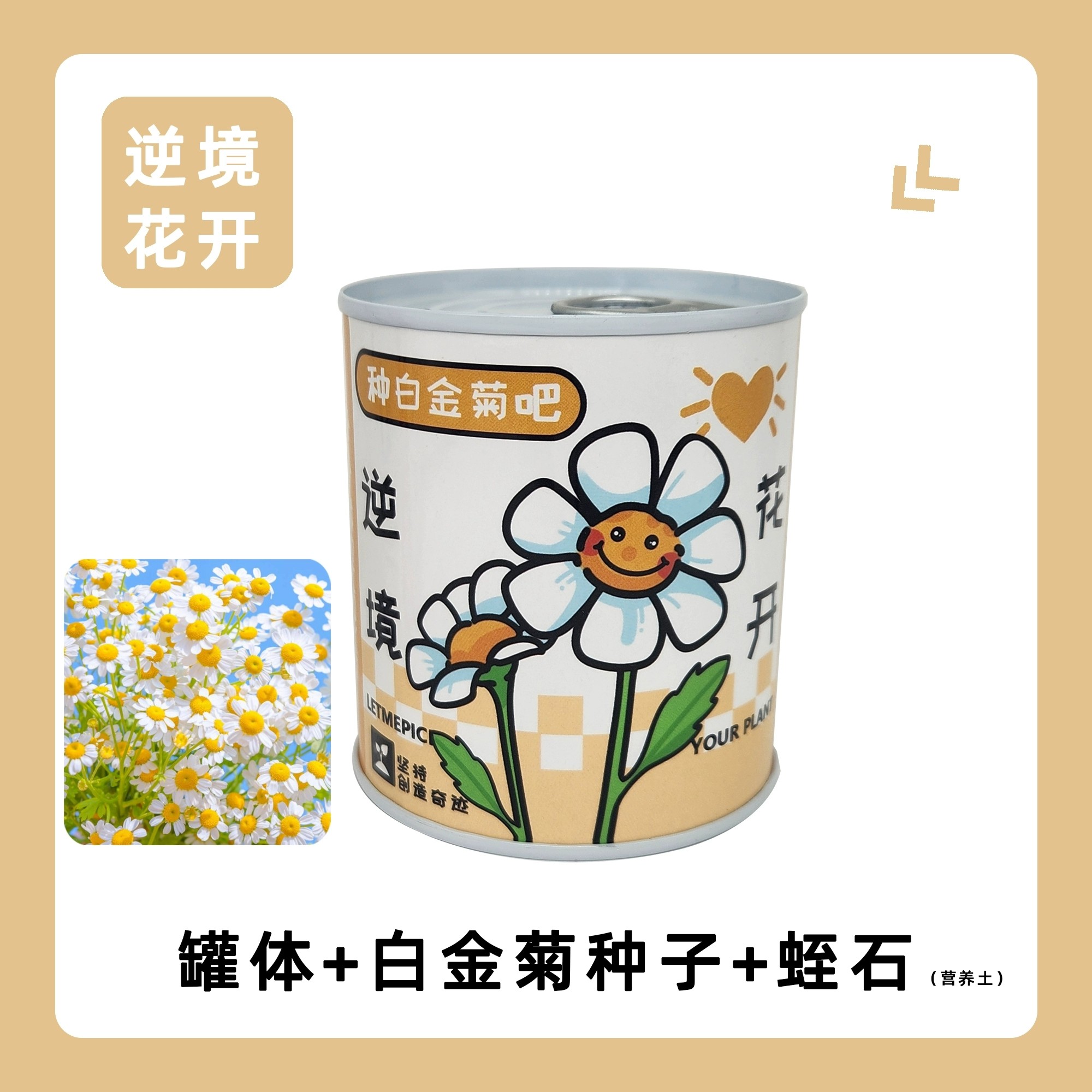 办公室绿植小盆栽室内迷你桌面儿童种植情绪稳定礼物花盆创意罐头