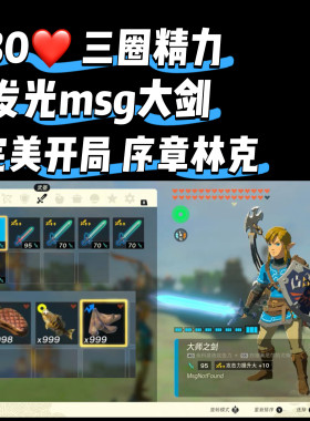 王国之泪代打完美开局序章林克30心msg大师剑发光白龙大师剑
