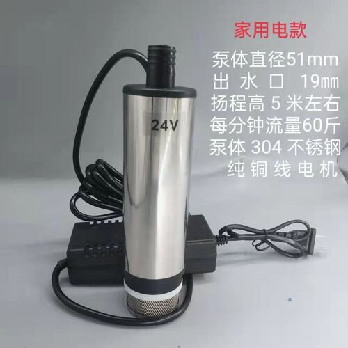 家用电220v12v24v抽油泵抽水泵柴油泵小型潜水泵电动抽水器