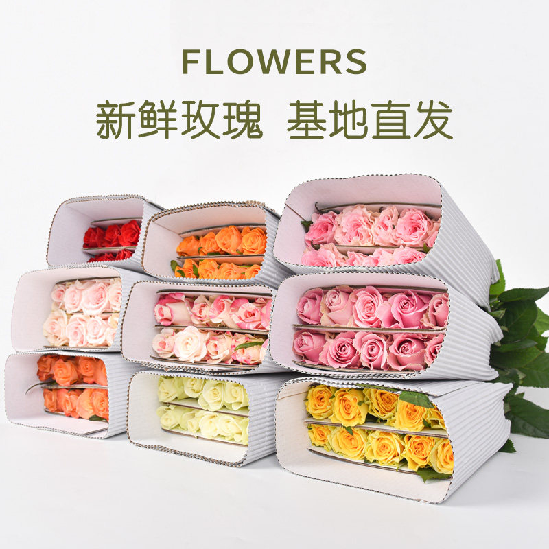 玫瑰花鲜花山东基地直发顺丰包邮鲜切花白玫瑰插花花束水养真花