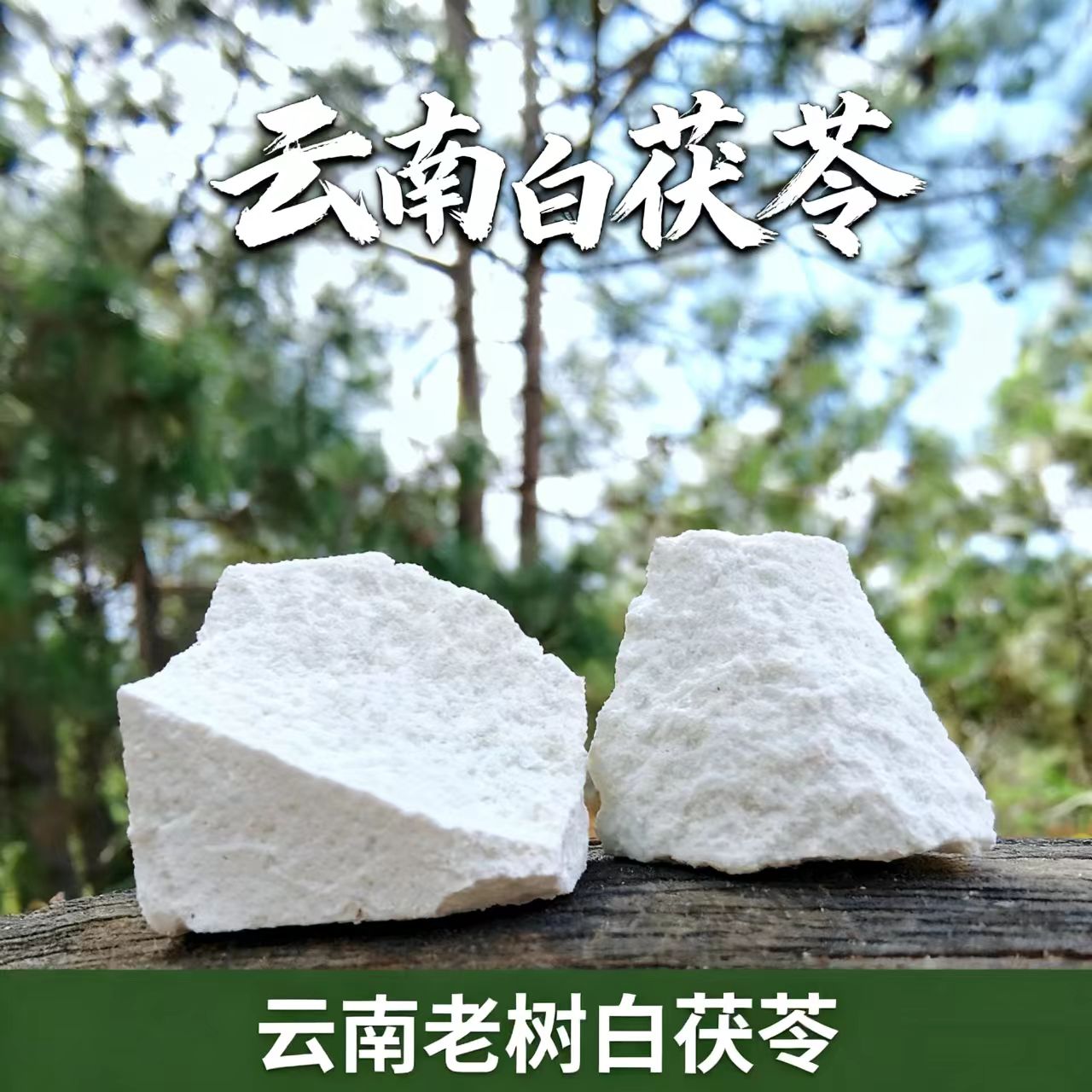 云南松根白茯苓正宗无硫生晒新货