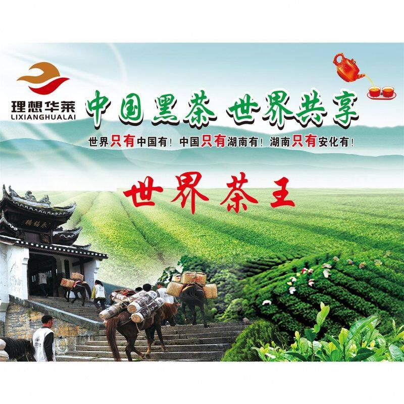 安化黑茶海报展板展示保健功效挂图粘贴装饰画茶马古道贴墙纸贴纸