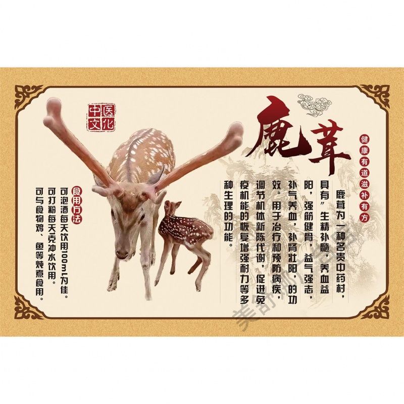 鹿茸广告海报贴纸天然中药材装饰画养生滋补品店药店挂图墙贴KT板