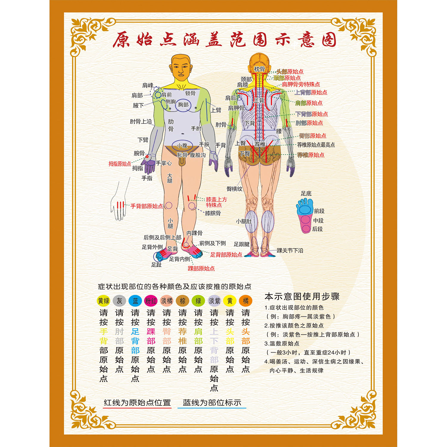 原始点海报医学挂图各部位位置及其涵盖范围示意图脑中风装饰画