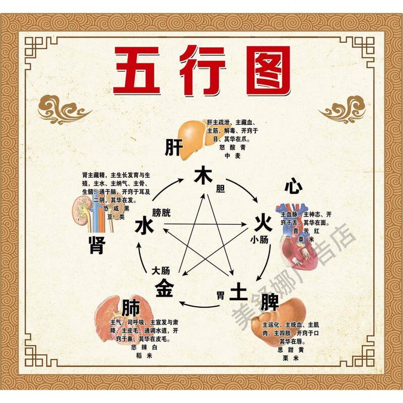 五行图 通排调养补四季养生 五色入五脏养生馆海报墙贴装饰画挂图