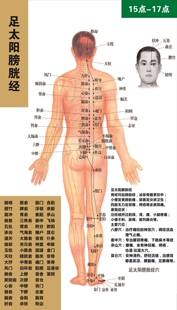 中医养生经脉走向图经络图人体十二经络挂图海报十四正经穴位图