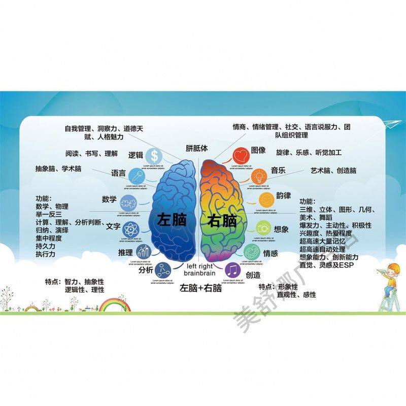 左脑右脑功能区分图人体开发大脑左右脑部功能图感统海报挂画墙贴
