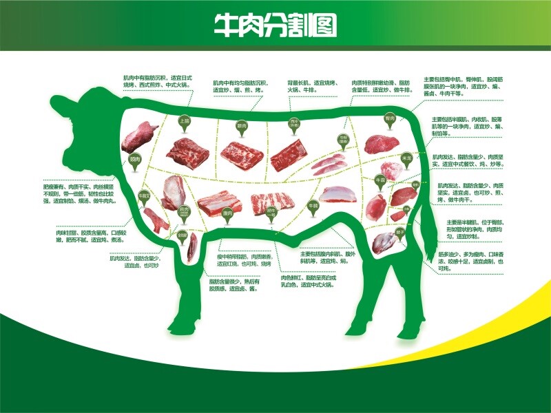 牛肉分割图海报贴纸墙贴鲜牛肉分解图壁画排酸牛肉分解图贴纸海报