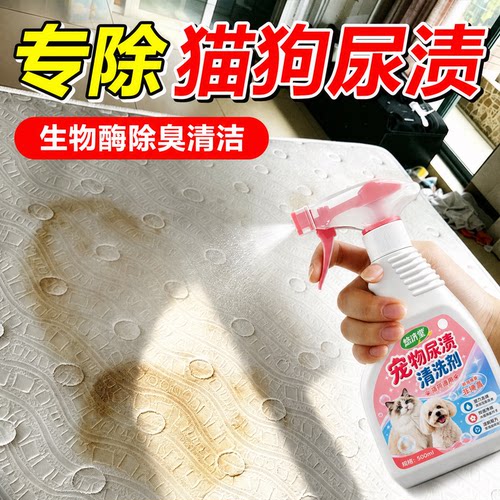 猫尿生物酶分解剂宠物尿渍清洁剂沙发去尿臭