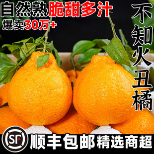 四川不知火丑橘新鲜水果5斤当季粑粑橘丑八怪耙耙水果柑10包邮