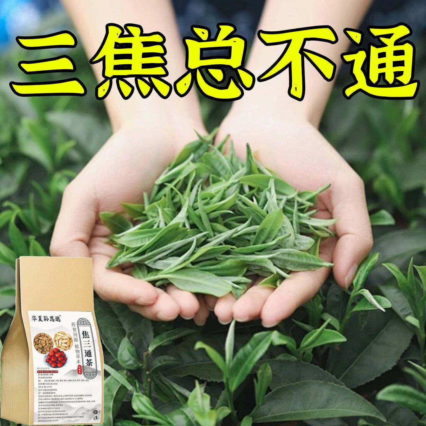 三焦瘀堵通湿气重火旺上热下寒中焦瘀堵内热痰湿虚不受补通养生茶