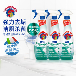 大公鸡管家马桶清洁剂洁厕灵洁厕液卫生间除垢漂白款官方正品旗舰