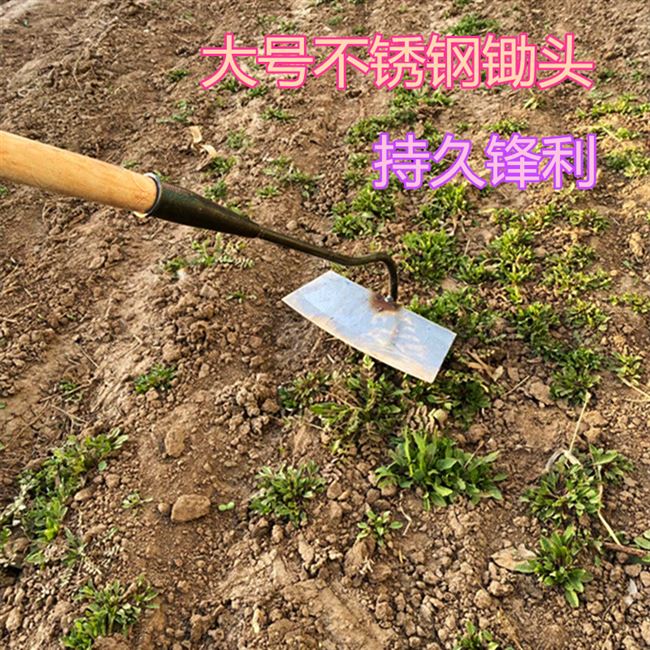 2023神器工具开荒大锄头农具不锈钢锄草D挖土翻地种菜家用除草专