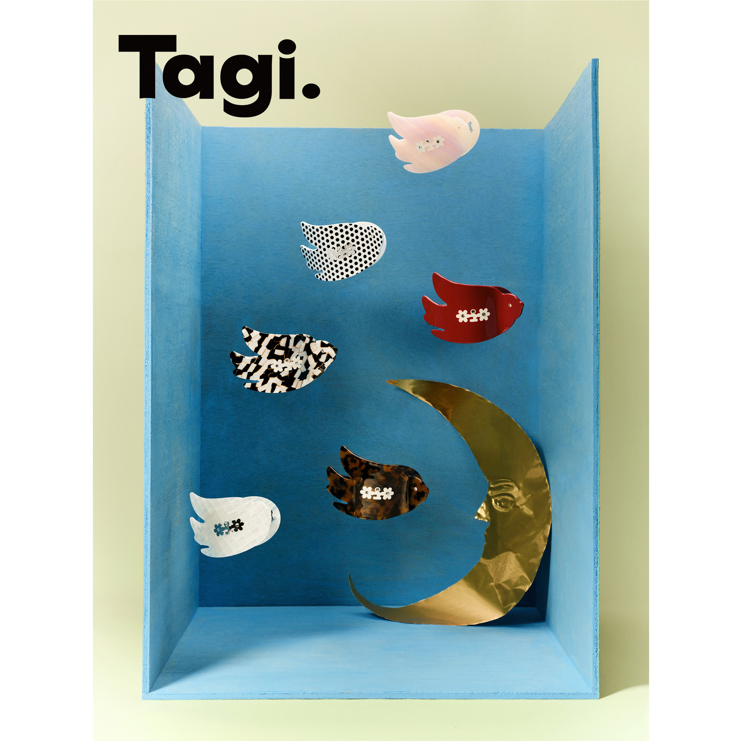 Tagi.小鸟鲍鱼醋酸发抓图片