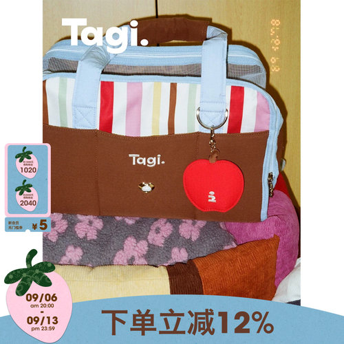 Tagi.外出野餐包手提斜挎包