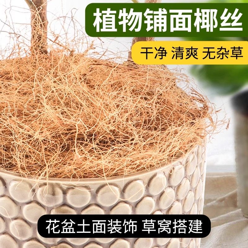 椰丝铺面花盆铺面草装饰护土盖盆栽多肉养花专用鸟巢鸟窝草窝垫料,鲜花速递/花卉仿真/绿植园艺,其它园艺用品,淘宝优惠券,粉丝福利购,淘宝优惠卷