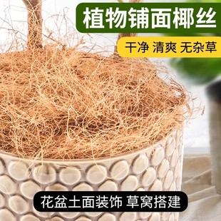椰丝铺面花盆铺面草装饰护土盖盆栽多肉养花专用鸟巢鸟窝草窝垫料
